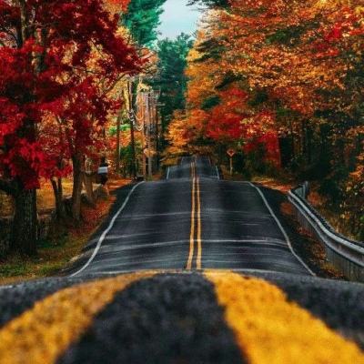 鸭脖app下载app下载截图