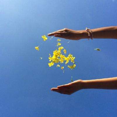 m6米乐手机登陆入口