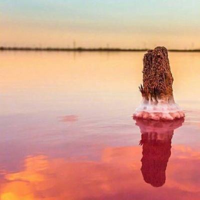 49图库一资料中心手机app下载截图