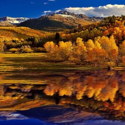 免费竞彩足球推荐app