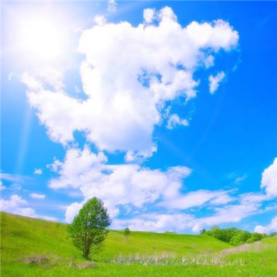 满堂彩手机app下载