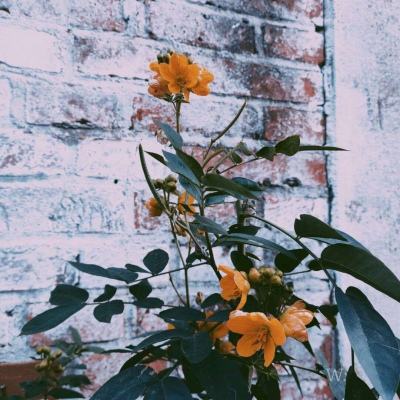 半岛官方登录地址