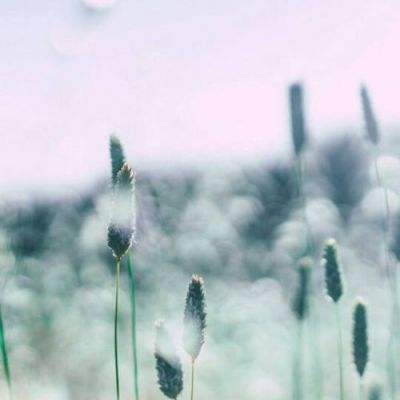 kaiyun·开云app下载