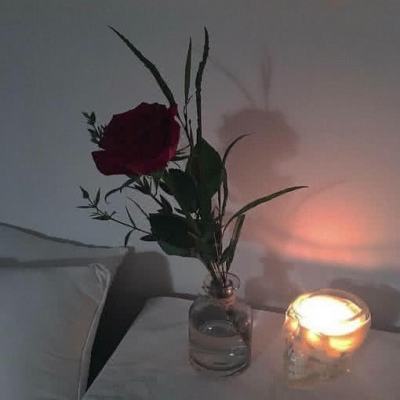 金年会最新官网下载